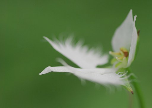 まるでとんでいるみたい（＾＾）