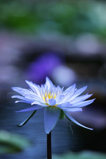 Ice Blue