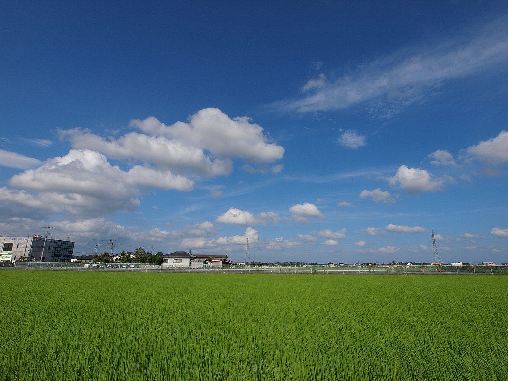 夏空・・^^;