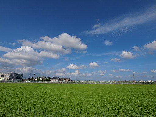 夏空・・^^;