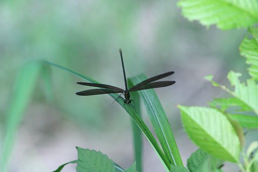 7月22日の写真