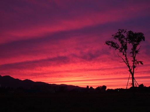 夕陽