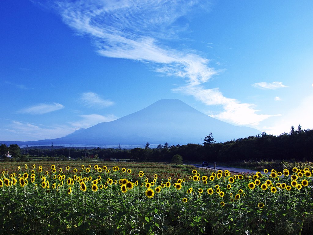 アラジンな富士・・・