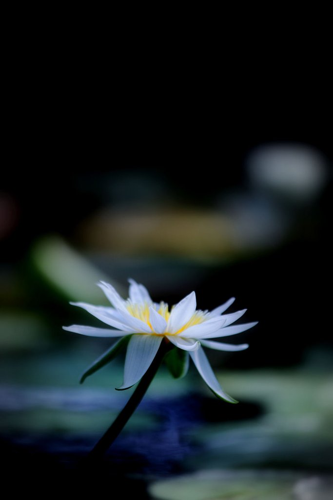 静