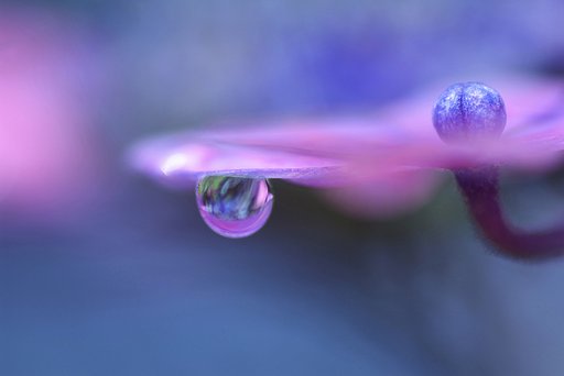 雨上がり