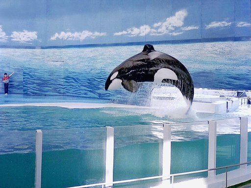 カラー調整＞【流】ジャンプ