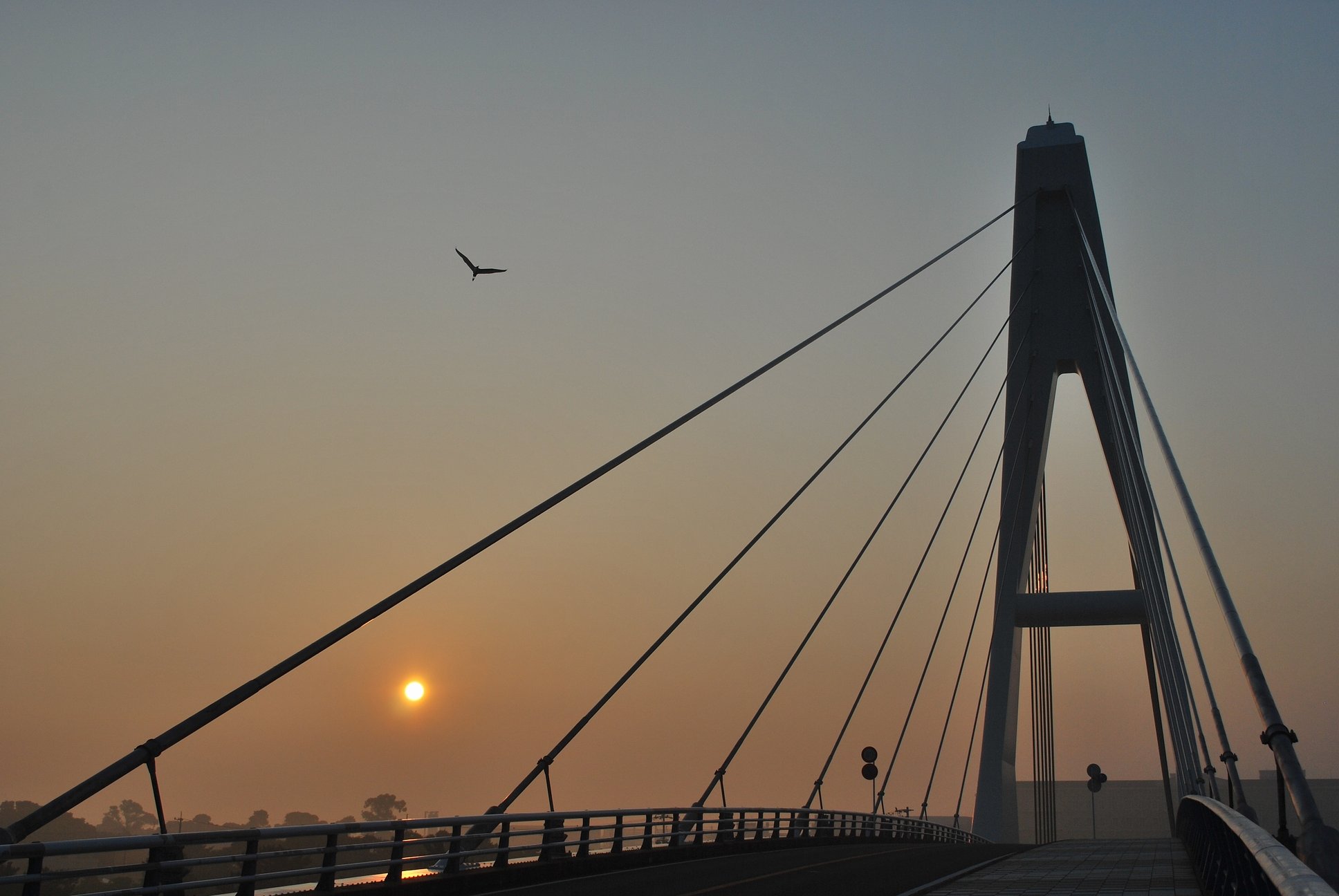 斜張橋