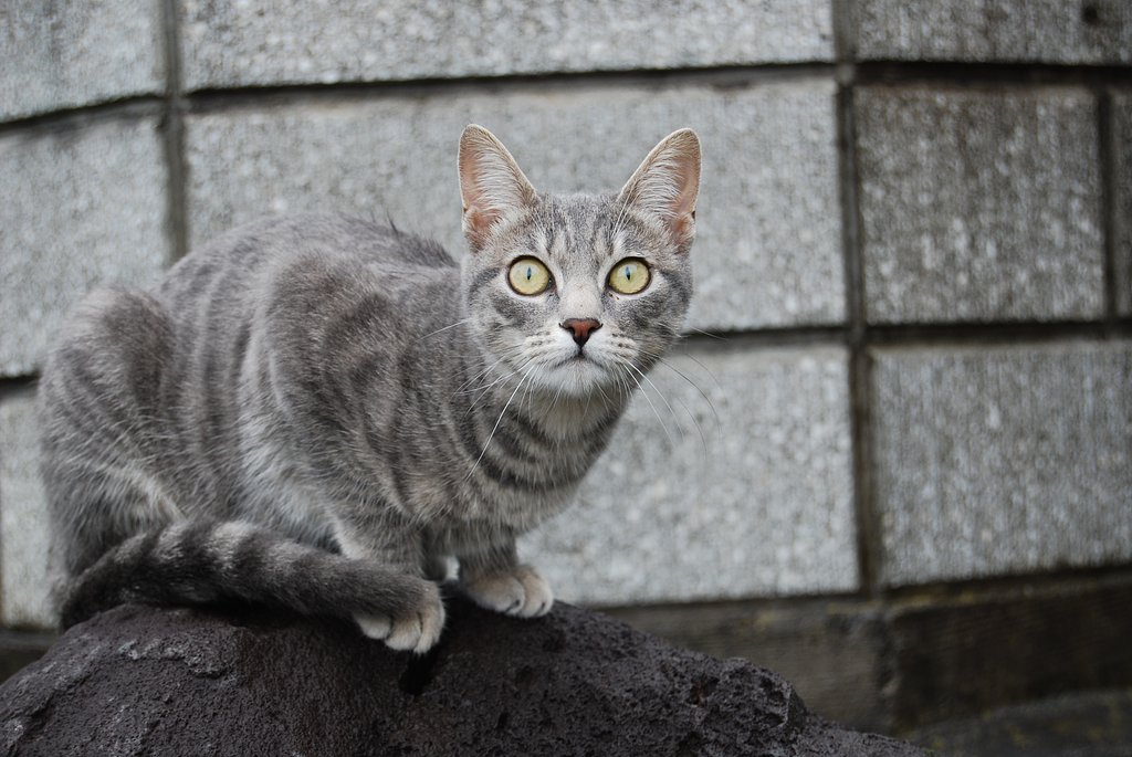 何が見える？