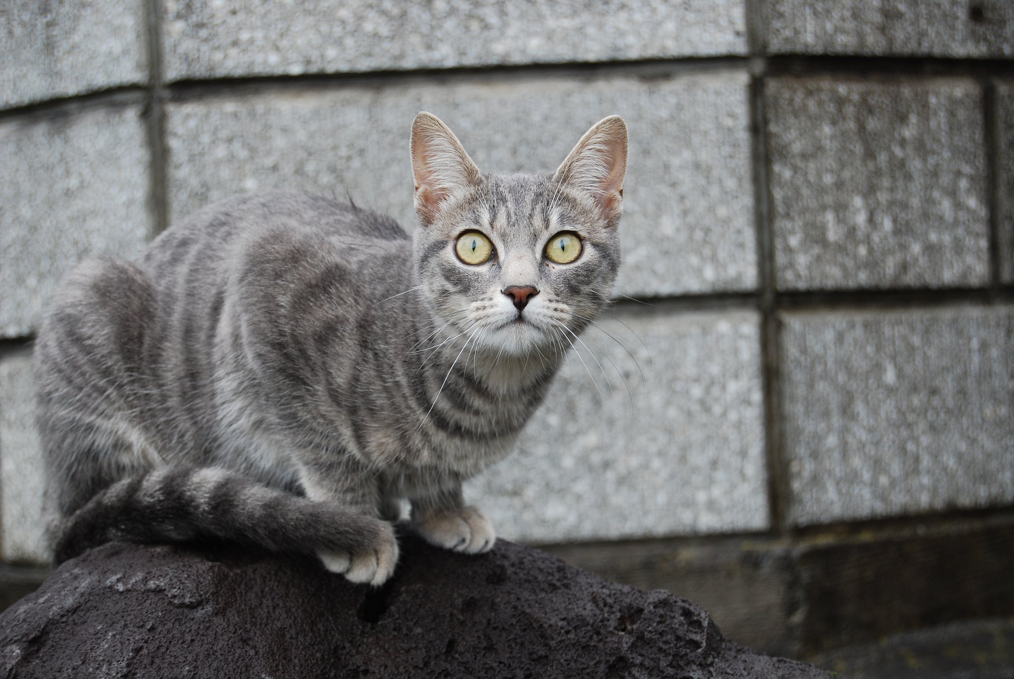 何が見える？