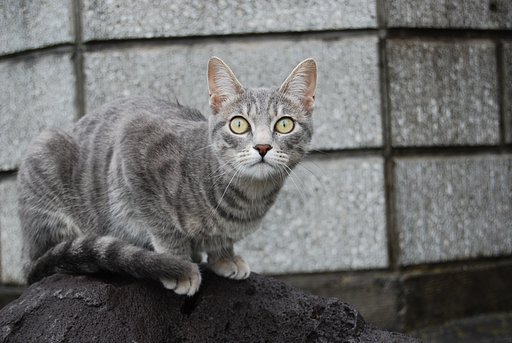 何が見える？