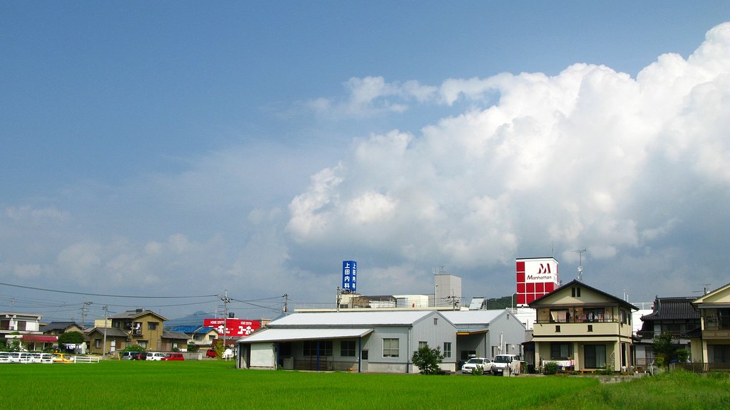 夏から秋へ