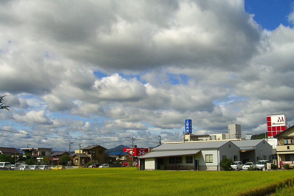 千切れ雲に