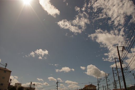 台風一過