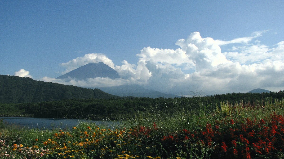 西湖からの富士山