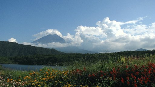 西湖からの富士山