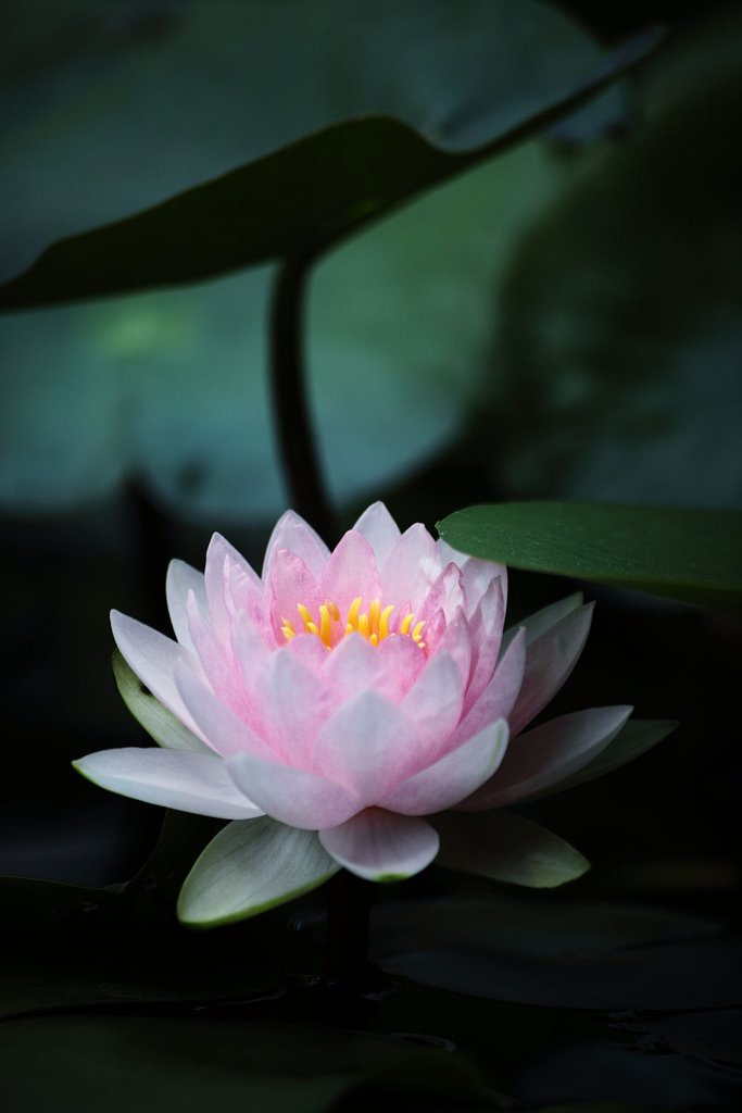 綺麗になった私