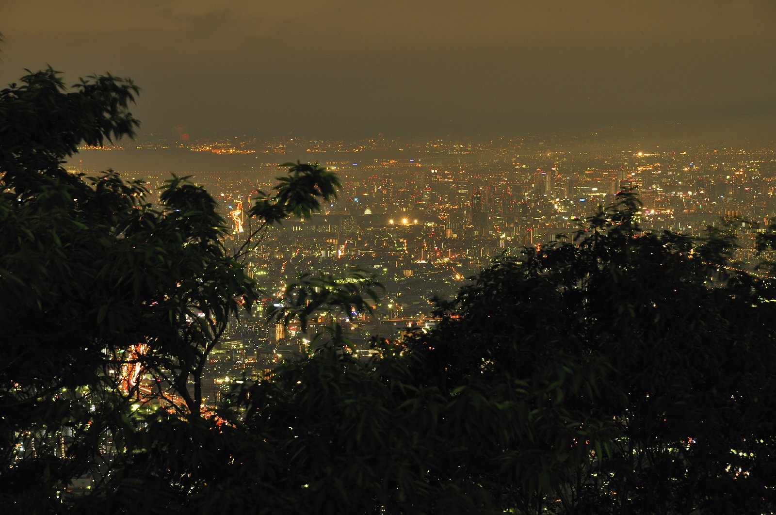 今夜の夜景