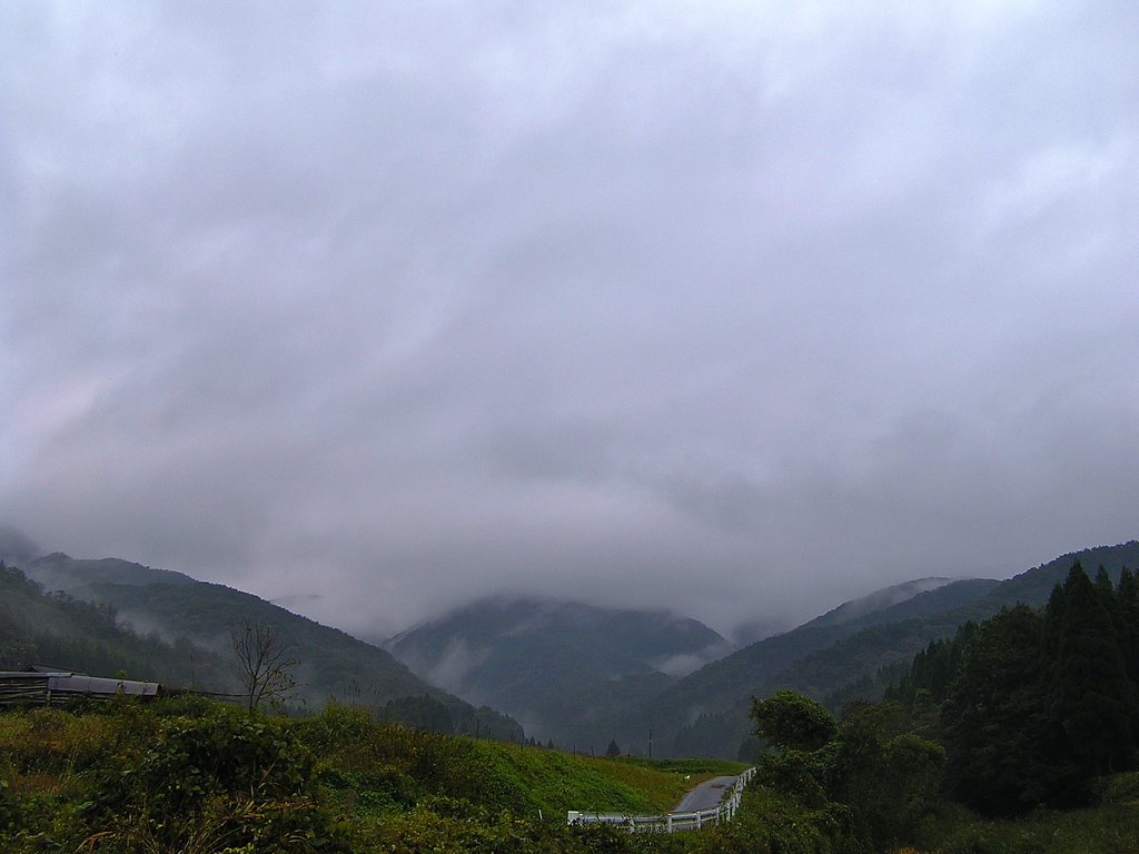 雨降りの朝!
