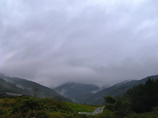雨降りの朝!