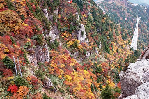 紅葉