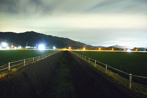ホタル