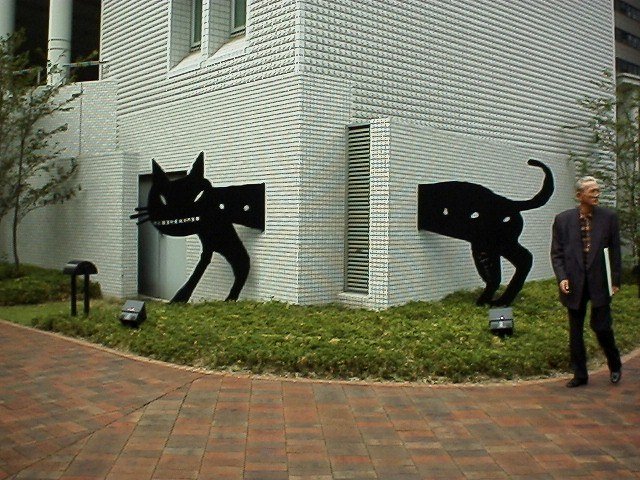 ビルの影の猫