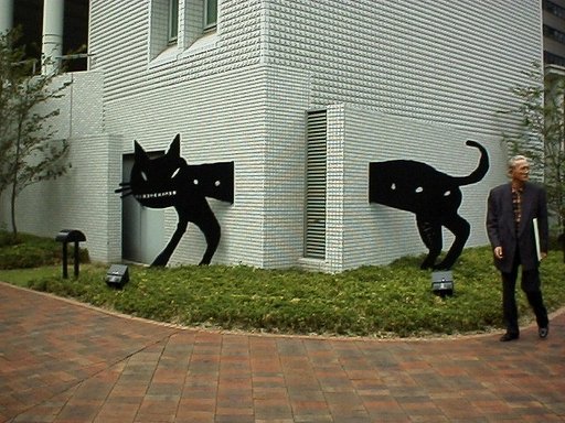 ビルの影の猫