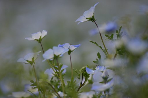 もっとひかりを