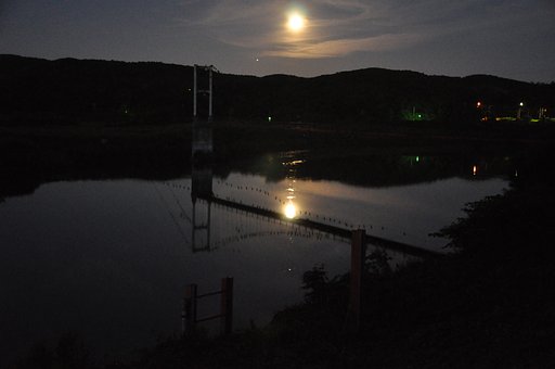 川鵜