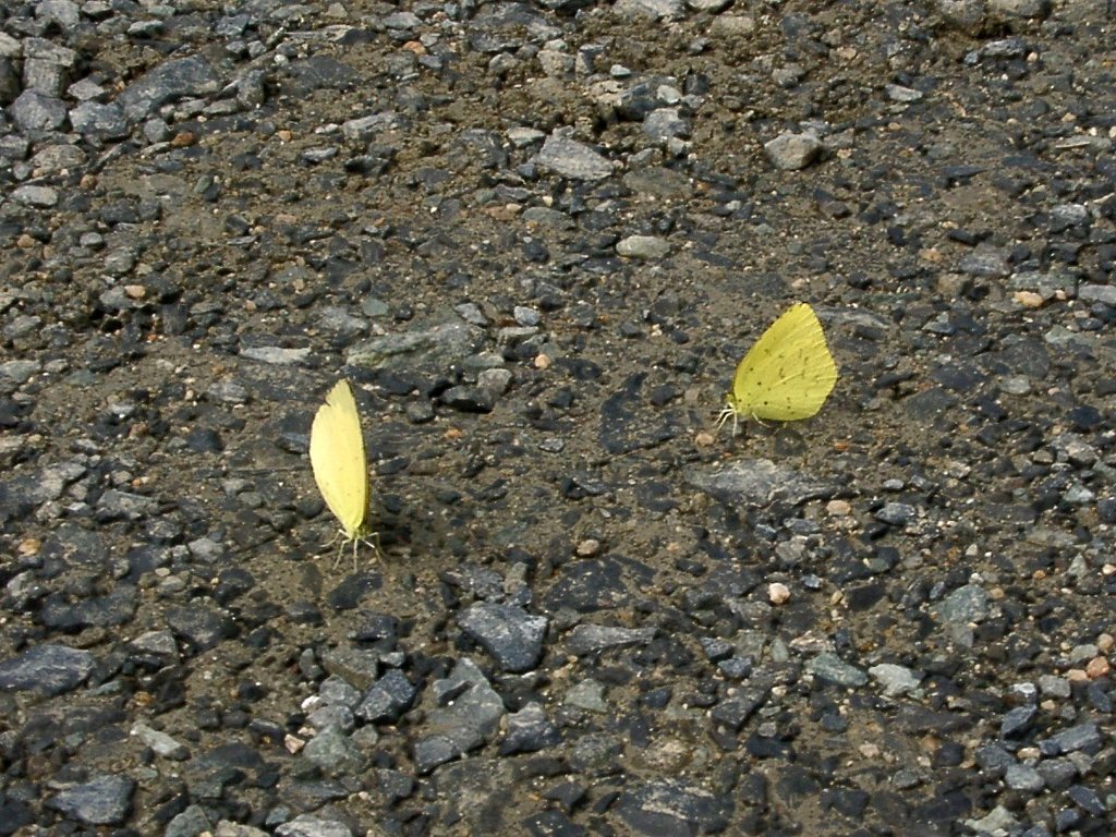 水分補給？