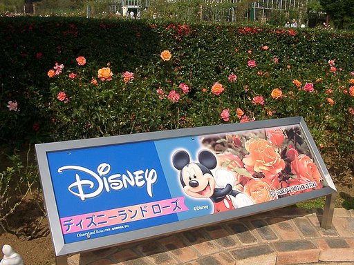 ■09秋バラ・セレクション-01