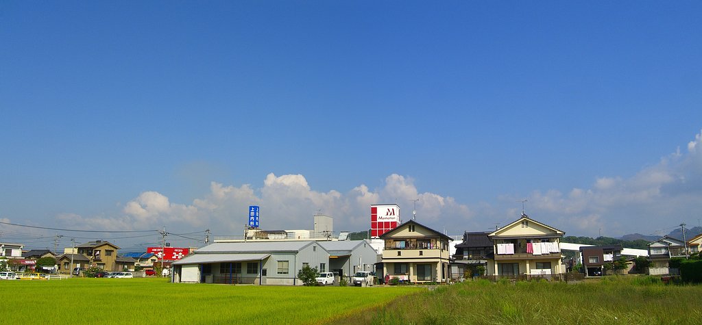 今朝は快晴