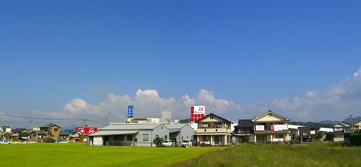 今朝は快晴