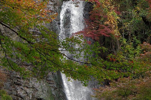 【秋】　無題