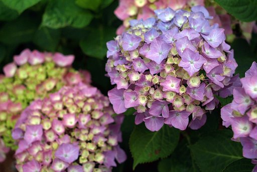 ご無沙汰しています