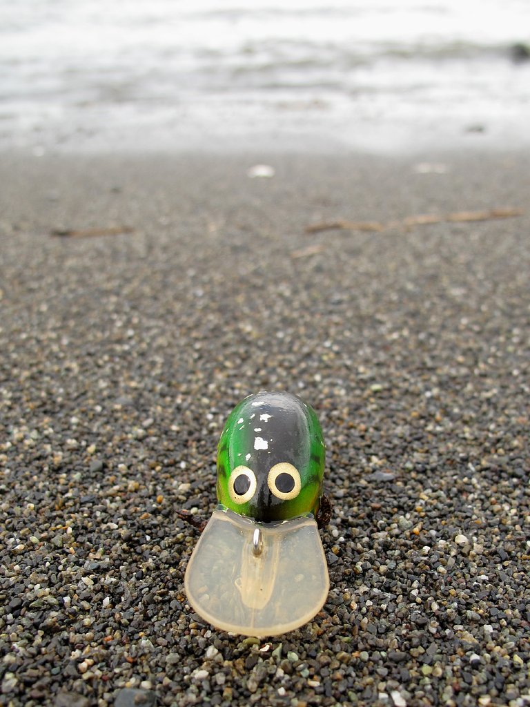 [流]れ着いて湘南