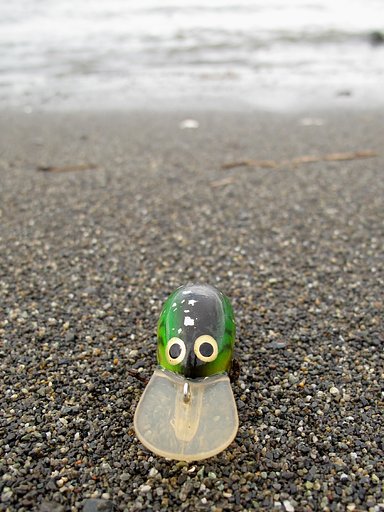 [流]れ着いて湘南