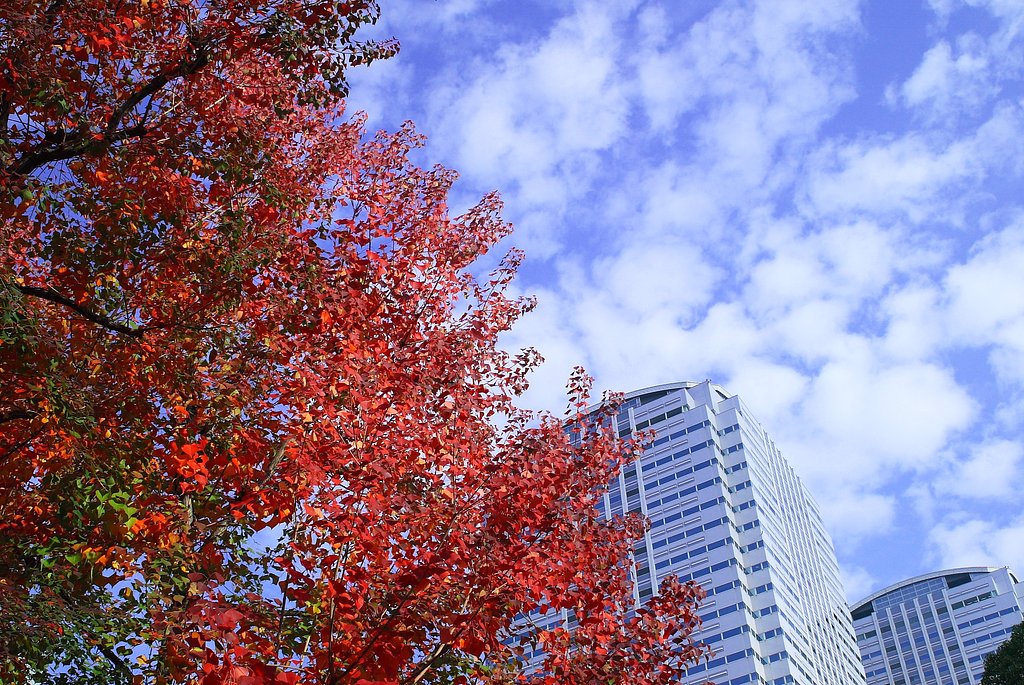 EF28-80mm F3.5-5.6Ⅱ USM