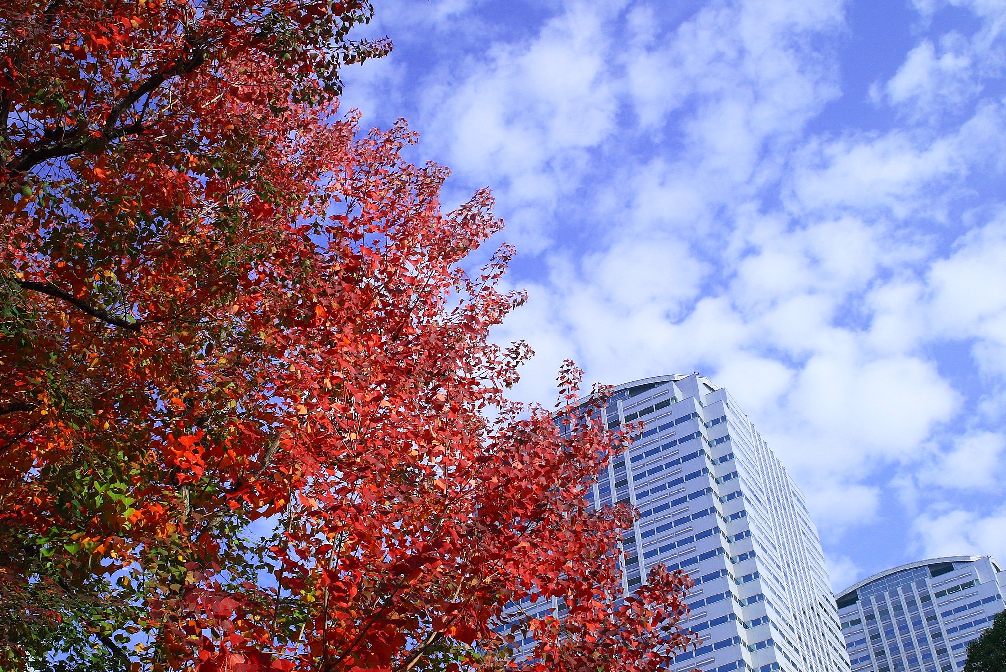 EF28-80mm F3.5-5.6Ⅱ USM