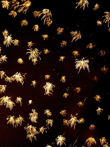 ★夏の夜の夢花火-23 八王子⑥