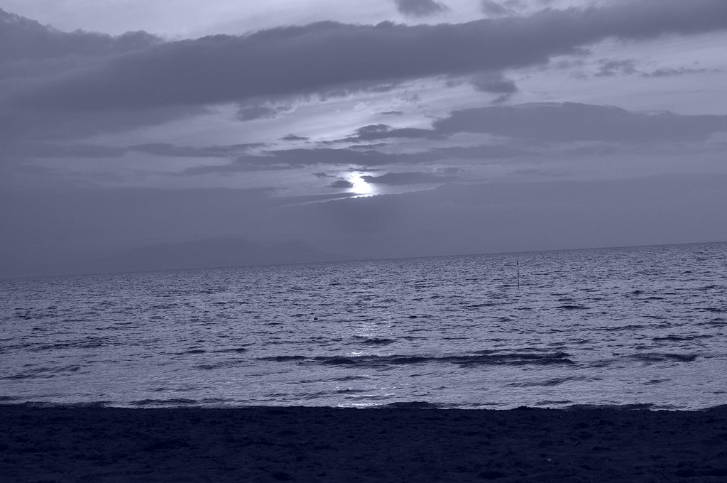 海