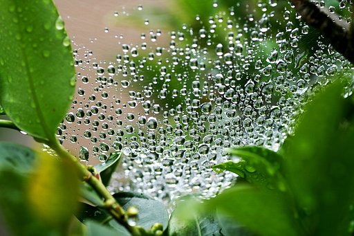 水玉模様