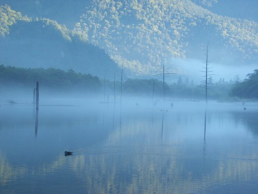 【水】朝靄の大正池