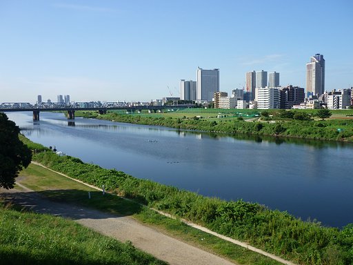 都市化と多摩川