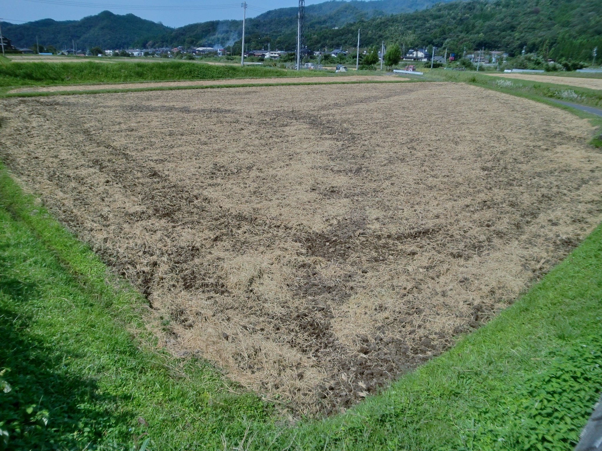 粗起こししました。