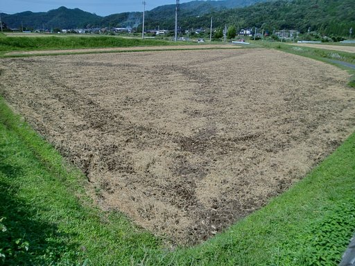 粗起こししました。