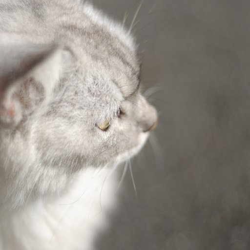 まなざし