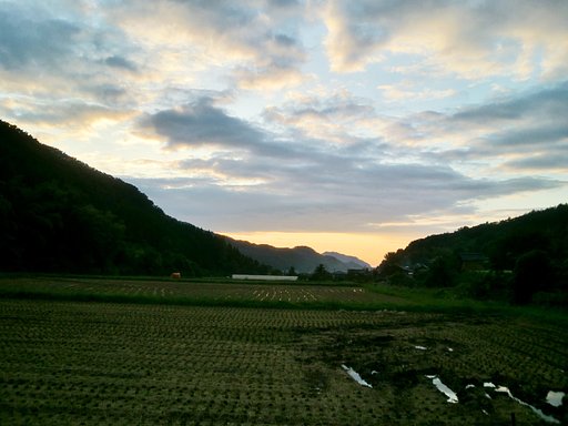 今日の夕焼け