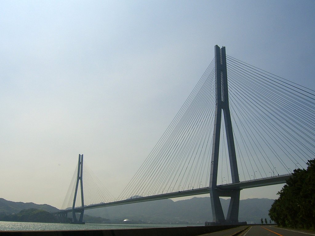 Drive-24
