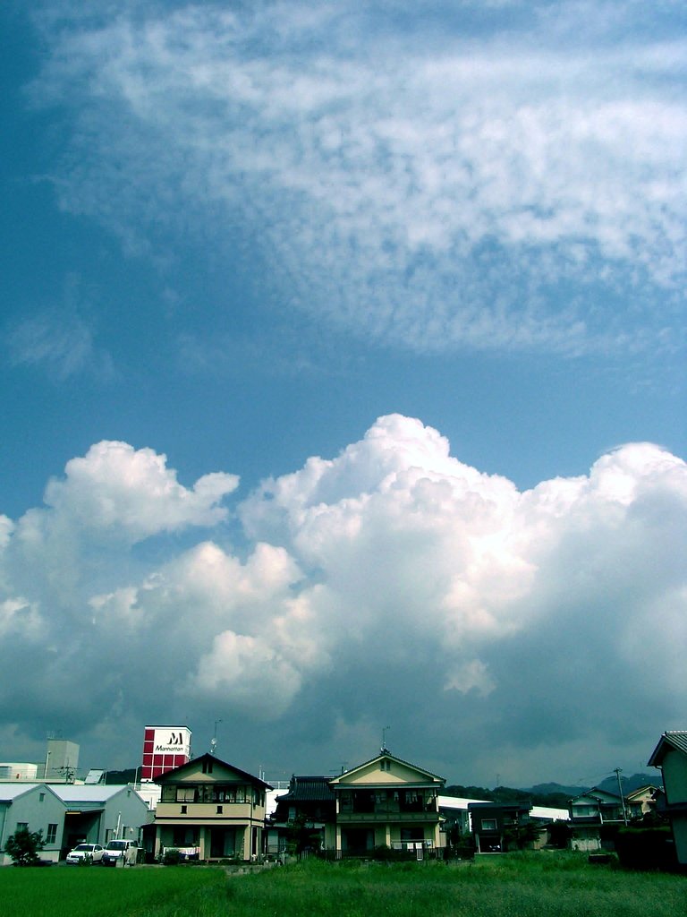 同居